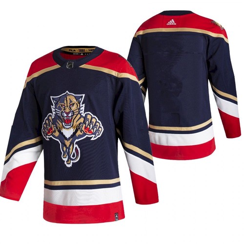 Men's Florida Panthers Black 2020-21 Reverse Retro Stitched NHL Jersey